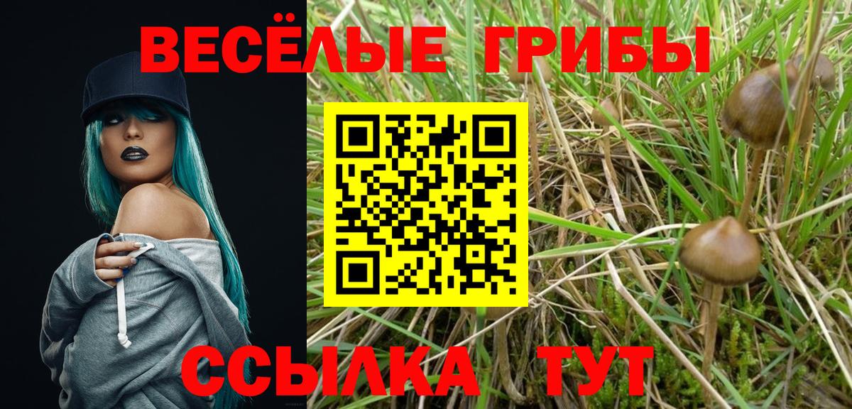 Белореченск  цена   Вход с VPN  Псилоцибиновые грибы ЛСД 